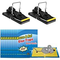 Wemk Trampas para Ratones y Ratas- Pack de 2 Trampas con Resortes para Ratones y 10 Trampas de Pegamento para Ratones…